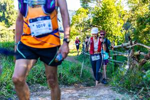 BIB: 1019, 2374
                            <button type="button" onclick="openModal(19090236)" class="btn btn-primary btn-sm float-right btn-popup" data-toggle="modal" data-target=".modal-high-quality">
                        <i class="fas fa-shopping-cart"></i> Add to Cart
                    </button>
                                            <button type="button" onclick="isThisMe(19090236, true)" class="btn btn-success btn-sm float-right btn-popup btn-isme hidden" data-toggle="tooltip" data-placement="bottom" title="นี่คือรูปของคุณใช่ไหม คลิกที่นี่เพื่อเอาเข้าอัลบั้ม">
                        <i class="fas fa-plus"></i> Add to album
                    </button>
                    <button type="button" onclick="isThisMe(19090236, false)" class="btn btn-warning btn-sm float-right btn-popup btn-isnotme hidden">
                        <i class="fas fa-ban"></i> Remove from album
                    </button>